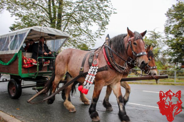 Wiesn 2024