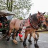 Wiesn 2024